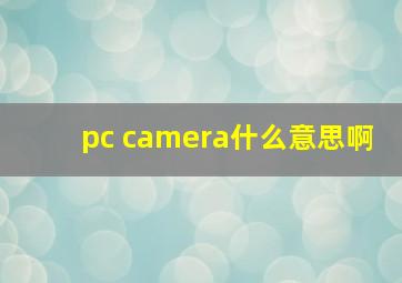 pc camera什么意思啊